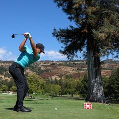 Who are the longest drivers on the PGA tour? List of long-drive champs