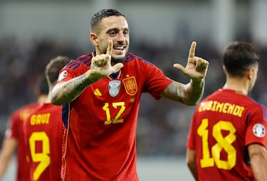 Nació en Stuttgart, donde sus padres, emigrantes españoles, se encontraban trabajando, y asistió a la escuela en el país alemán hasta los cuatro años, cuando su familia regresó a Silleda, en Galicia. Debutó como internacional en marzo de 2023, con casi 33 años. A pesar de su debut tardío, en poco más de un año como internacional fue campeón de la Nations League de 2023 y de la Eurocopa de 2024.
