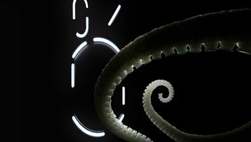 nothing phone 2 eventos