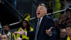 Sarunas Jasikevicius, entrenador de Fenerbahce, durante el partido de la jornada 28 de la Euroliga ante el Real Madrid.