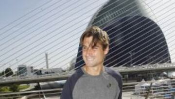 David Ferrer.