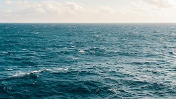 Los resultados mostraron que el calentamiento global es responsable de un aumento promedio de 1 grado en la intensidad de las olas de calor marinas.