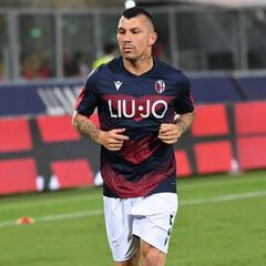 La sorpresiva foto de Medel con leyenda del fútbol francés