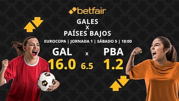 Gales vs. Países Bajos: horario, dónde ver, pronósticos y clasificación