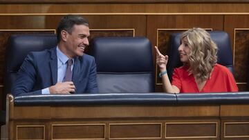 Qu¨¦ es el ¡®ticket electoral¡¯, la estrategia de S¨¢nchez y D¨ªaz para las Elecciones Generales de 2023