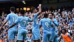 Manchester City took full advantage of Liverpool dropping points to beat Newcastle and extend their advantage at the top of the Premier League.