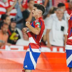 Neva deja el Granada tras ocho temporadas