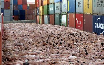 Una instalación de Spencer Tunick en los muelles del puerto de Lyon, Francia, en septiembre de 2005.