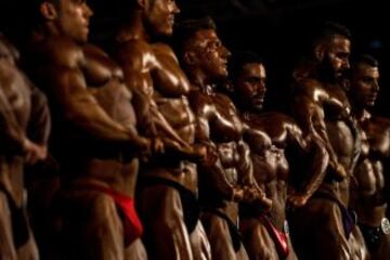 Arnold Classic Europe 2016 en im¨¢genes