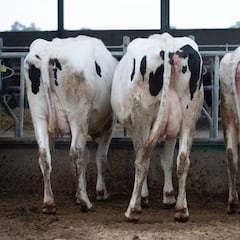 Danone advierte de una inminente ruptura de suministro