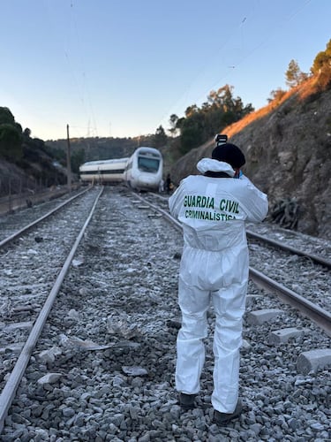 Un miembro de la Guardia Civil trabaja en el lugar del descarrilamiento mortal de dos trenes de alta velocidad cerca de Adamuz, en Córdoba, España.