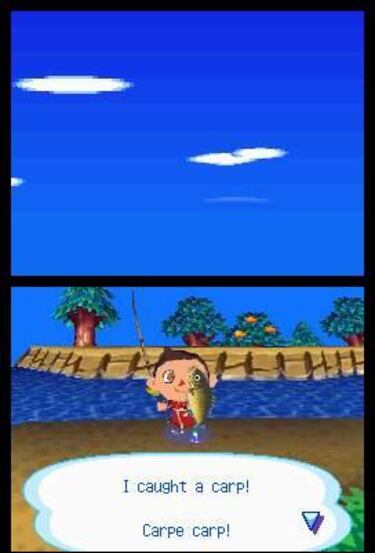 Animal Crossing: Wild World alcanza las 400.000 reservas