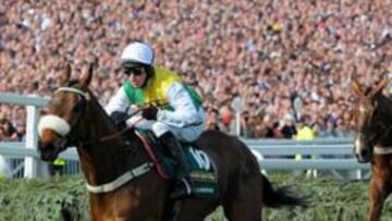 <b>ESPECTÁCULO. </b>Jason Maguire, a lomos de 'Ballabriggs', en cabeza tras superar uno de los 30 obstáculos del Grand National de Aintree.