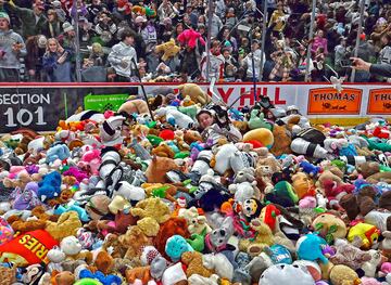 Cruikshank, Strome y Dube, de los Hershey Bears, aparecen enterrados por una monta?a de mu?ecos de peluche que fueron arrojados al hielo despus del primer gol del equipo contra los Providence Bruins en el partido de la liga estadounidense de hockey sobre hielo (NHL). En este evento anual los peluches se donan a organizaciones benficas.