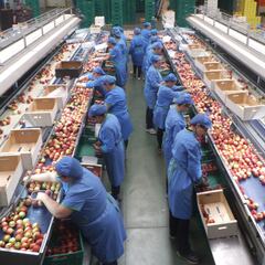 Los países en los que más se trabaja en Latinoamérica: descubre en qué lugar está Chile