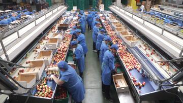 Los países en los que más se trabaja en Latinoamérica: descubre en qué lugar está Chile