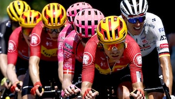 Benejacq (France), 17/07/2025.- Danish rider Magnus Cort Nielsen of Uno-X Mobility team leads the peloton during the 12th stage of the Tour de France cycling race over 180.6km from Auch to Hautacam, France, 17 July 2025. (Ciclismo, Francia) EFE/EPA/MARTIN DIVISEK