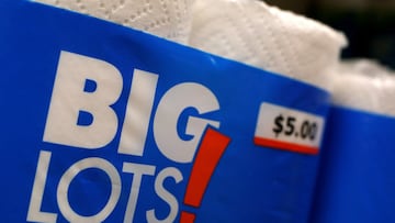 FILE PHOTO: Big Lots brand paper towels are seen in a store in Niles, llinois, U.S. May 23, 2016. REUTERS/Jim Young/File Photo
