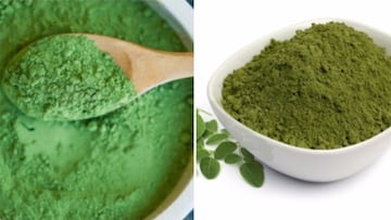 Moringa olefeira en polvo: propiedades y beneficios de la planta que es un superalimento