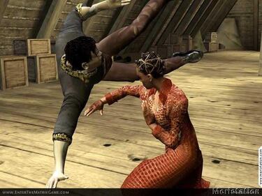 Enter The Matrix (GameCube)