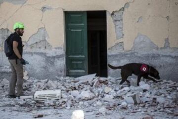 ITA85 AMATRICE (ITALIA) 24/08/2016.- Equipos de emergencia acompañados de perros buscan personas que hayan podido quedar atrapadas por los escombros en Amatrice, en el centro de Italia, hoy, 24 de agosto de 2016. Al menos 38 personas han muerto y decenas se encuentran desaparecidas a causa del terremoto de 6,0 grados de magnitud en la escala abierta de Richter que ha sacudido el centro de Italia en la madrugada de hoy, informó la Protección Civil italiana. EFE/Massimo Percossi