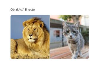 Los memes más divertidos de la jornada Champions