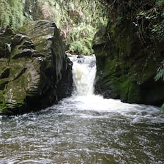 Ni Guatapé, ni Copacabana: este es el municipio más alto de Antioquia y sus actividades más destacadas