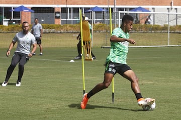 El equipo verde, líder de la Liga Águila y ya clasificado a los cuadrangulares, cuenta de nuevo con su técnico Juan Carlos Osorio. Pompilio Páez estuvo a cargo durante los últimos partidos.