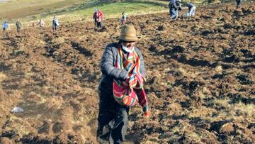 Bono Agricultores 2022: montos, requisitos y cómo cobrarlo