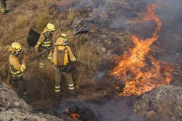 Dos incendios desatados en la provincia de ?vila han provocado la evacuaci¨®n de los municipios de Riofr¨ªo, Sotalbo, Villaviciosa, Palacios y Robledillo, adem¨¢s de quemar 10.000 hect¨¢reas. La situaci¨®n ha obligado la intervenci¨®n de la Unidad Militar de Emergencias.