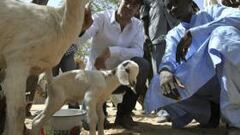 Raúl viaja a África y pide dinero para paliar el hambre