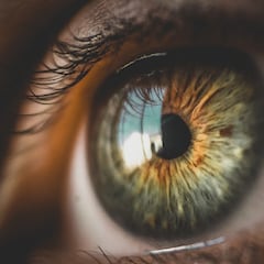 Neither strength nor intelligence: An anthropologist reveals why humans rule the world