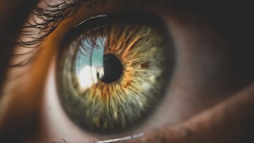 Ojo humano