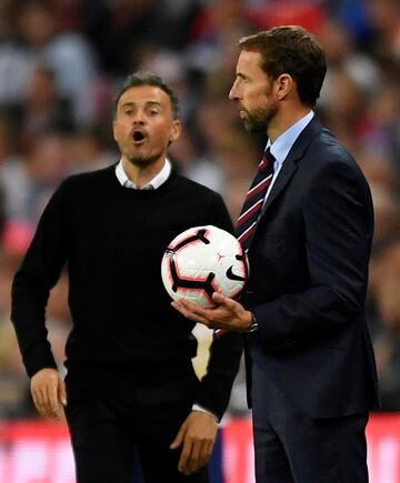 Gareth Southgate and Luis Enrique.