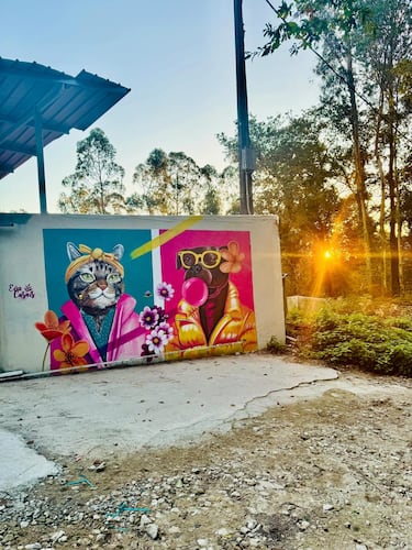 
En Ponteareas, rosas suaves, azules bruma y verdes atlánticos envuelven un mensaje empático. Delicadeza cromática para reivindicar el cuidado animal con poesía visual.