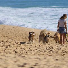 Previsión del tiempo para el Puente del Pilar: dónde hará sol y dónde lloverá