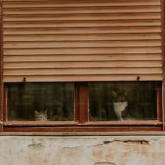 ¿Por qué hay tantas persianas en España y por qué apenas se utilizan en el resto de Europa?