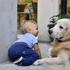 Las razas de perros que mejor se llevan con los niños: ¿cuáles son y en qué habilidades destacan?