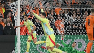 Merino celebra el gol del empate de Espa?a en R¨®terdam.
