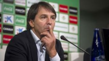 El Betis hace oficial el despido de Stosic: "Es un d¨ªa triste"
