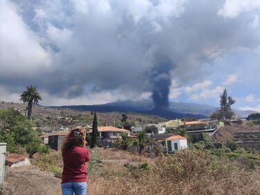 El desconsuelo de Otniel: agente inmobiliario busca casa en La Palma tras la erupci¨®n