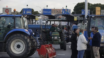Agricultores y tractores durante una concentraci¨®n en la entrada de Mercabarna, a 13 de febrero de 2024, en Barcelona, Catalunya (Espa?a). Las acciones de hoy de los agricultores y ganaderos se han convocado por Uni¨® de Pagesos y Revolta Pagesa en Mercabarna, el Port de Tarragona y en la AP-7 y la N-II en Pont¨®s (Girona). Agricultores y ganaderos de toda Espa?a han sacado sus tractores a las carreteras por sexto d¨ªa consecutivo, para pedir mejoras en el sector, entre ellas exigir ayudas para afrontar las sequ¨ªas que sufre el campo. Adem¨¢s, protestan contra las pol¨ªticas europeas y su falta de rentabilidad. Las acciones de hoy de los agricultores y ganaderos en Catalunya se han convocado por Uni¨® de Pagesos y Revolta Pagesa en Mercabarna, el Port de Tarragona y en la AP-7 y la N-II en Pont¨®s (Girona).
13 FEBRERO 2024;BARCELONA;AGRICULTORES;GANADEROS;TRACTORES
Kike Rinc¨®n / Europa Press
13/02/2024
