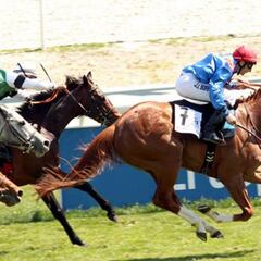 'Eldelbar' doblega a catorce ganadores en la Poule de Potros