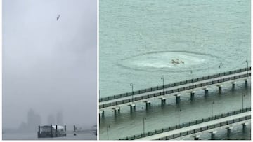 Se registra un nuevo accidente aéreo en Estados Unidos. Un helicóptero se desploma en el río Hudson en Nueva York, se reportan “múltiples víctimas mortales”.