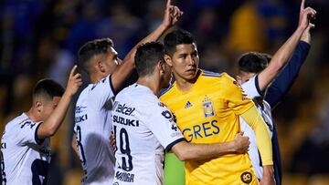 Tigres - Pumas, cómo y dónde ver; horario y TV online