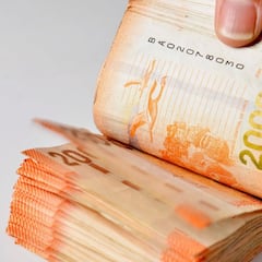 Pago del Subsidio Protege: qué hacer si no lo recibí y cuándo se cobra