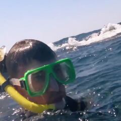 Una ballena jorobada lanza por los aires a un guía de snorkel