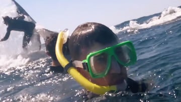 Una ballena jorobada golpea con la cola a un guía de esnórquel en la Gold Coast (Australia), en septiembre del 2024.