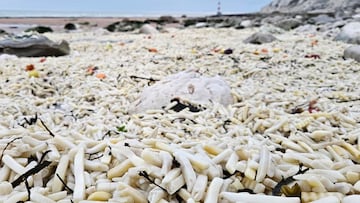 Un portacontenedores pierde su carga y la playa aparece inundada de patatas y cebollas: “Parecía arena amarilla”