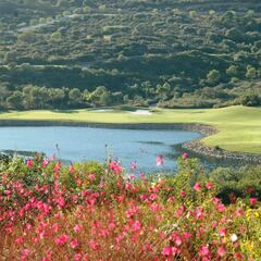 Solheim Cup 2023: qué es, cómo funciona, dónde se juega, cuántos hoyos hay y cuál es el sistema de puntos